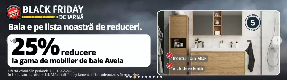 Catalog Brico Depôt săptămâna 7 Pagină 3