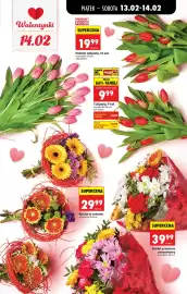 Biedronka gazetka tydzień 7 Strona 19