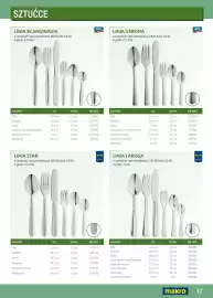 Makro gazetka Strona 17