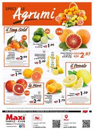 Volantino Maxi Family Pagina 8