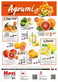 Volantino Maxi Family Pagina 8