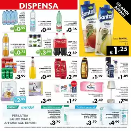 Volantino Maxi Supermercati Pagina 13