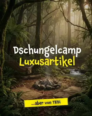 TEDi Prospekt (gültig bis 18-02)