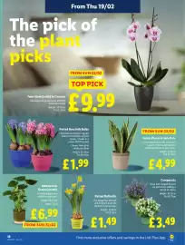 Lidl leaflet week 8 Page 18