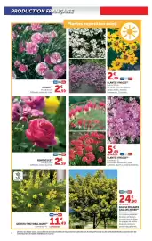 Catalogue Super U | Le jardin à prix bas page 4