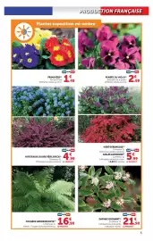 Catalogue Super U | Le jardin à prix bas page 5