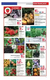 Catalogue Super U | Le jardin à prix bas page 7