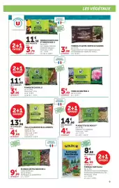 Catalogue Super U | Le jardin à prix bas page 9