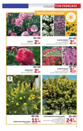 Catalogue Hyper U | Le jardin à prix bas page 5