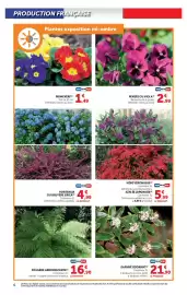 Catalogue Hyper U | Le jardin à prix bas page 6