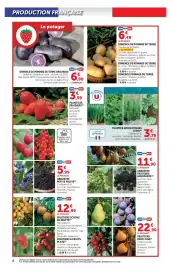 Catalogue Hyper U | Le jardin à prix bas page 8