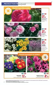 Catalogue U Express | Le jardin à prix bas page 2