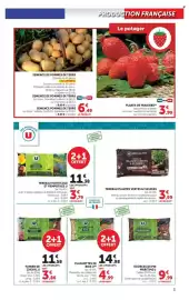 Catalogue U Express | Le jardin à prix bas page 3