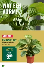 GroenRijk folder week 7 Pagina 10