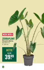 GroenRijk folder week 7 Pagina 12