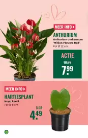 GroenRijk folder week 7 Pagina 14