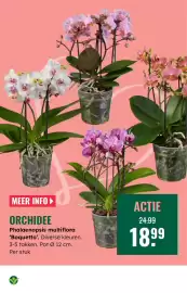 GroenRijk folder week 7 Pagina 17