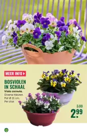 GroenRijk folder week 7 Pagina 6