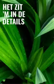 GroenRijk folder week 7 Pagina 7