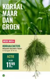 GroenRijk folder week 7 Pagina 9