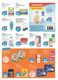 V Markt Prospekt woche 8 Seite 13