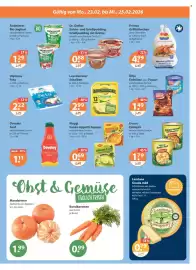 V Markt Prospekt woche 8 Seite 19