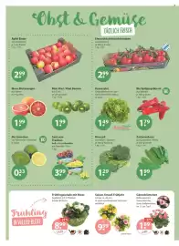 V Markt Prospekt woche 8 Seite 4