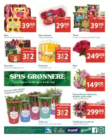 Jacobs kundeavis Side 7