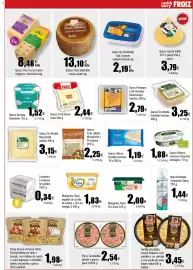 Folleto FROIZ Página 11