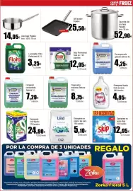 Folleto FROIZ Página 13