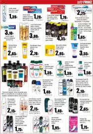 Folleto FROIZ Página 15