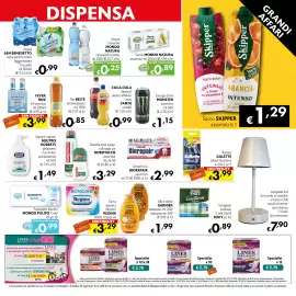 Volantino Eurospesa Pagina 13