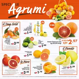 Volantino Eurospesa Pagina 2