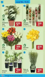 ALDI folder | Non-Food Pagina 10