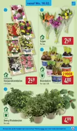 ALDI folder | Non-Food Pagina 9