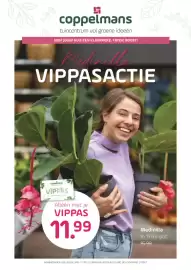 Coppelmans folder Pagina 1