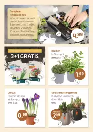 Coppelmans folder Pagina 6