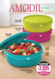 Catálogo Amodil Página 103