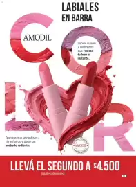 Catálogo Amodil Página 35