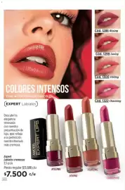 Catálogo Amodil Página 44