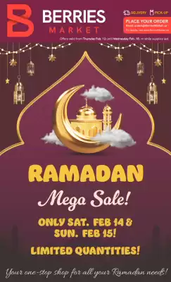 Berries Market flyer (valid until 18-02)