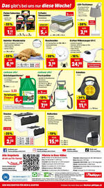 Thomas Philipps Prospekt woche 8 Seite 12