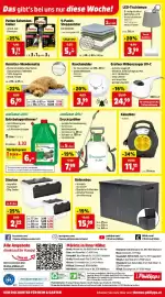 Thomas Philipps Prospekt woche 8 Seite 12