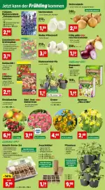 Thomas Philipps Prospekt woche 8 Seite 2