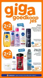 Trekpleister folder Pagina 12