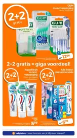 Trekpleister folder Pagina 13