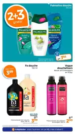 Trekpleister folder Pagina 31