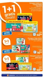 Trekpleister folder Pagina 8