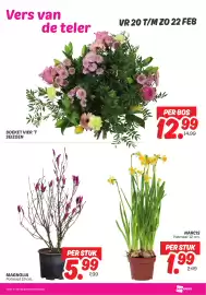 Dekamarkt folder week 8 Pagina 25