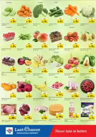 Last Chance flyer Page 2